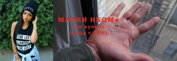 ГАЛЛЮЦИНОГЕННЫЕ ГРИБЫ Инсар