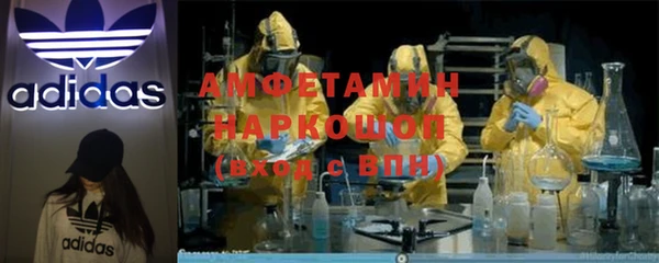 ГАЛЛЮЦИНОГЕННЫЕ ГРИБЫ Инсар