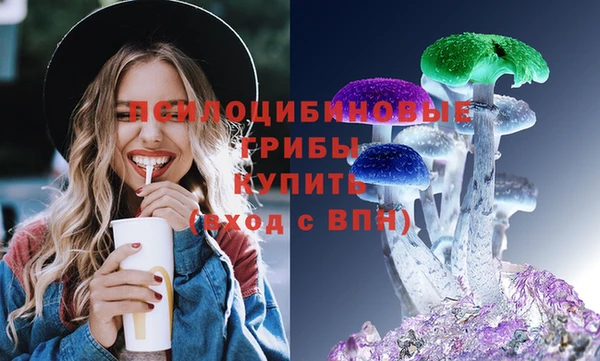 мяу мяу мука Иннополис