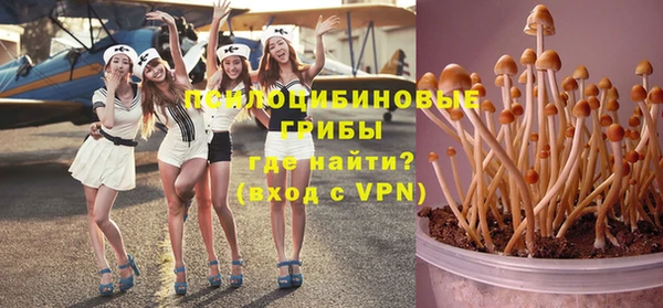 ГАЛЛЮЦИНОГЕННЫЕ ГРИБЫ Инсар