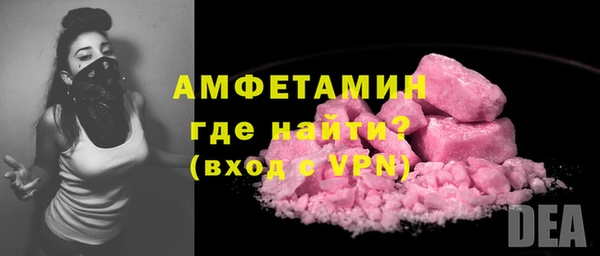 мяу мяу мука Иннополис