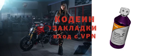 ГАЛЛЮЦИНОГЕННЫЕ ГРИБЫ Инсар