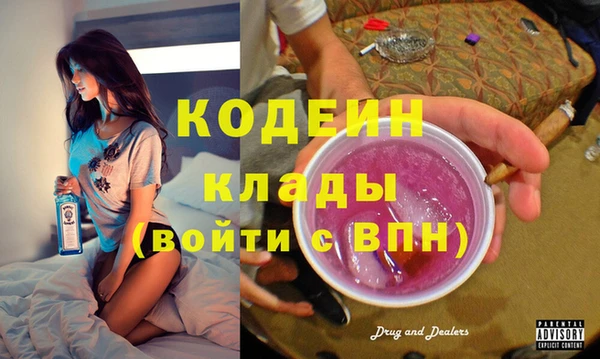 мяу мяу мука Иннополис