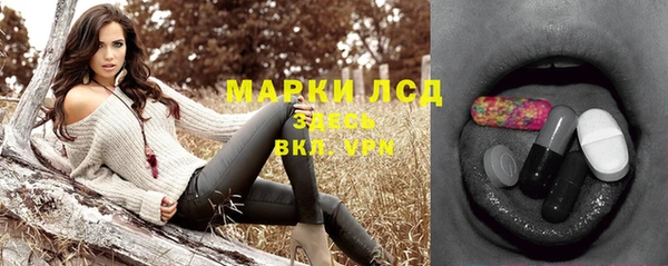 мяу мяу мука Иннополис
