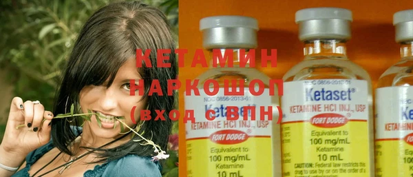 мяу мяу мука Иннополис