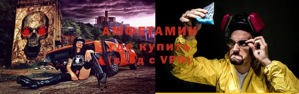 ГАЛЛЮЦИНОГЕННЫЕ ГРИБЫ Инсар