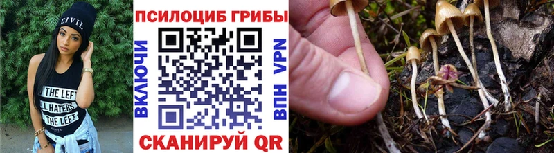 даркнет сайт  Избербаш  гидра как зайти  Галлюциногенные грибы мухоморы 